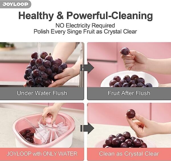 Fruit Cleaning Device - Image 5