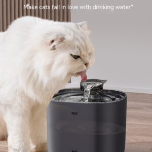 Cat Automatic Water Dispenser
